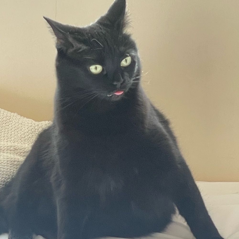 Meet your Posher, Sara